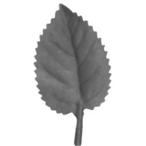 Feuille décorative